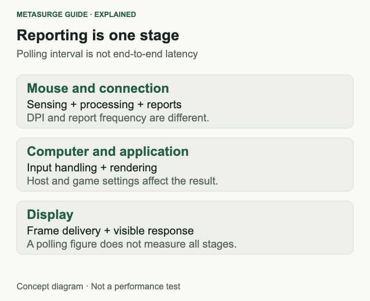 Mouse reporting, application processing and display behaviour are separate stages of local response.